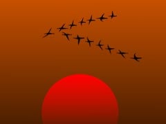 Severe Space Weather Lowers Migratory Birds By Nearly 20%, Affects Others