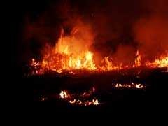 Fire At Tamil Nadu Firecracker Factory Kills 9